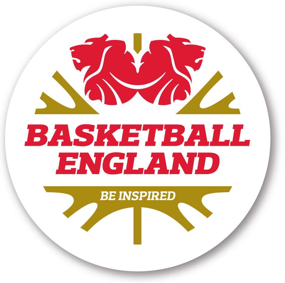 England 2014-Pres Primary Logo iron on transfers for clothing